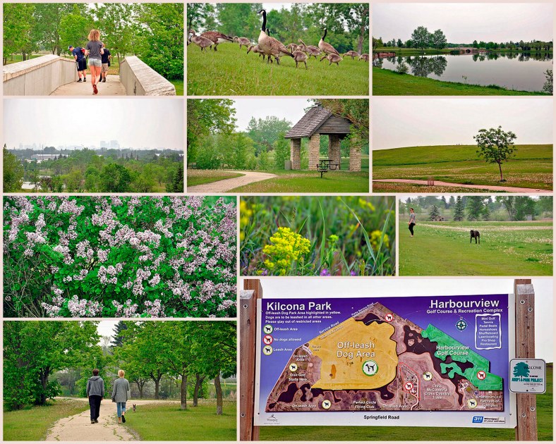 kilcona park for blog collage